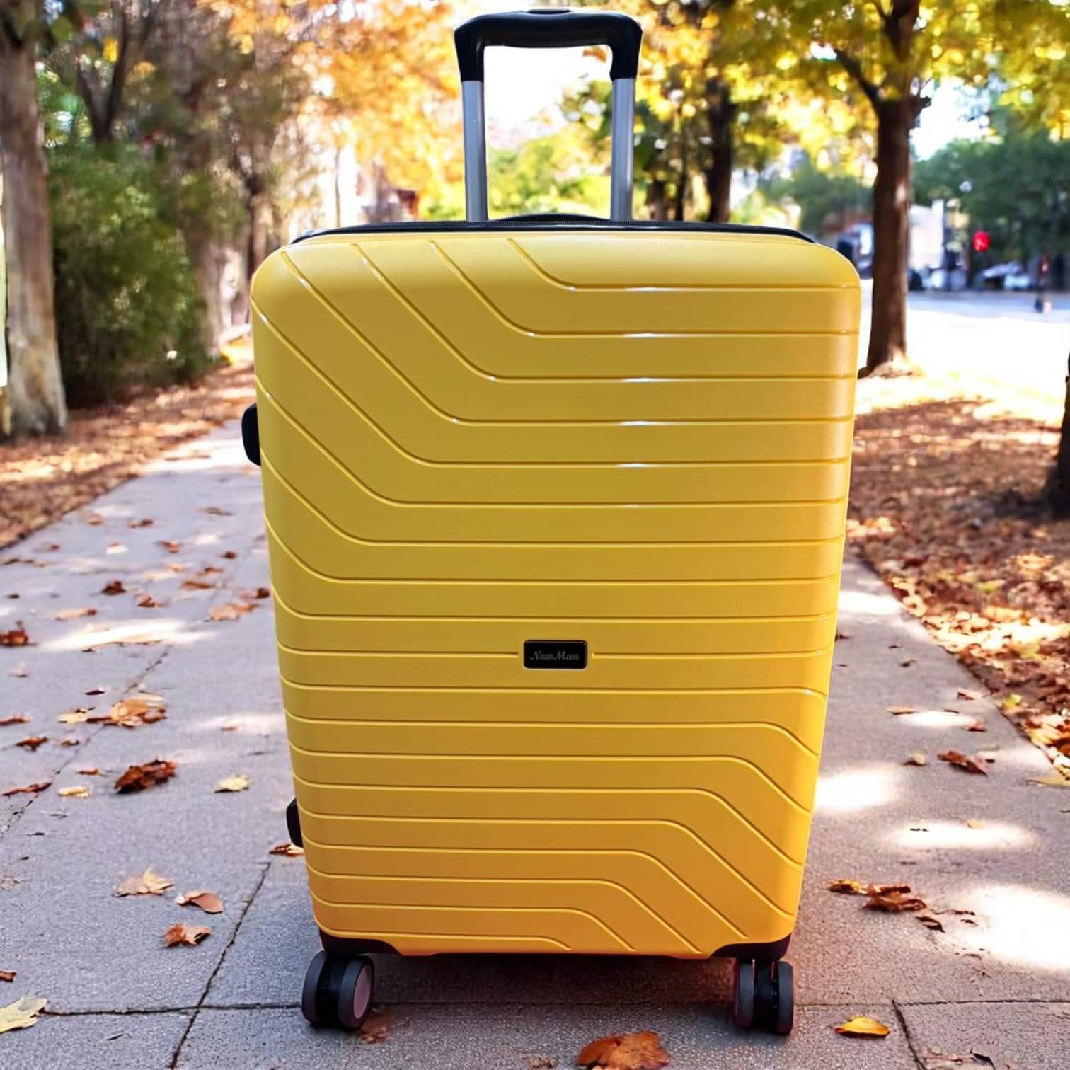 Newman- S308 Traveling Case